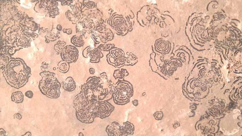 Illustration for article titled Desert Love